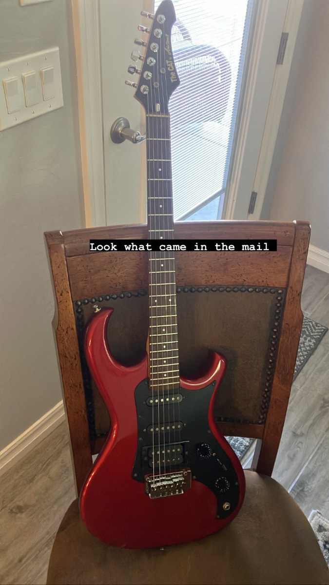 Music Gear Setup by miles_ellis featuring Aria Pro II The Cat