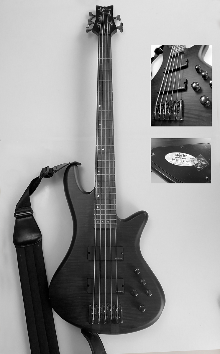Music Gear Setup by dave_weiss featuring Schecter Stiletto Studio-5