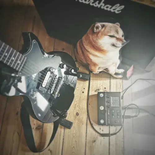 maibanez's gear photo