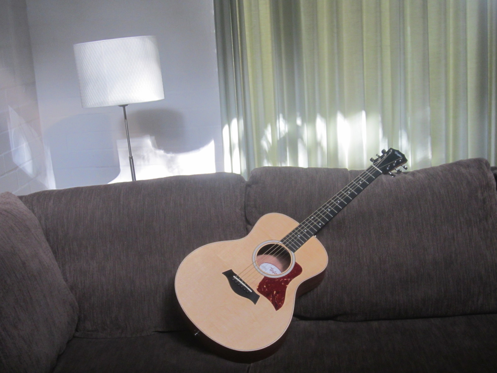 dylant's music gear photo