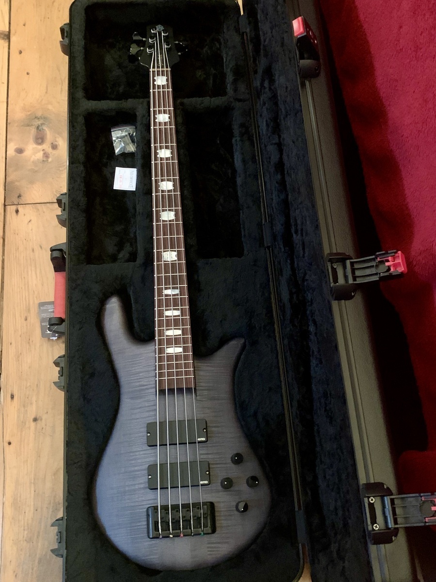 Metal Music Gear Setup by maidenvt featuring Spector Euro 5LX