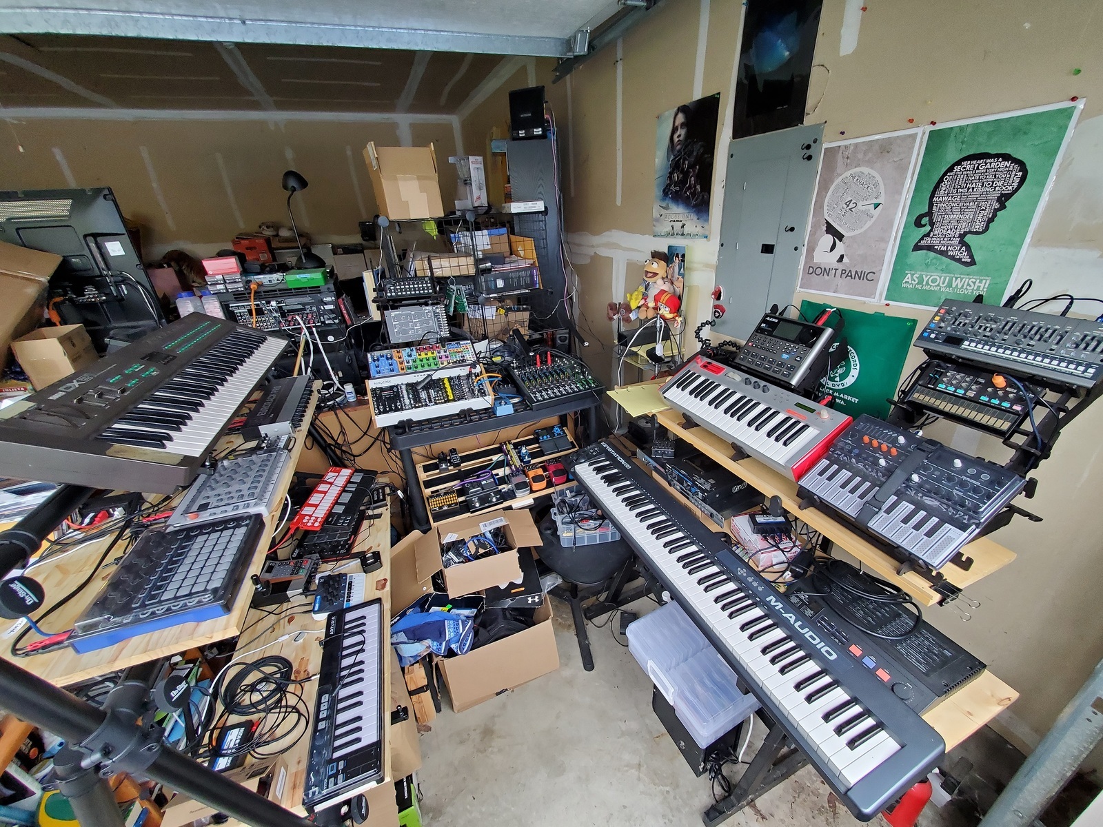 deadfred's music gear photo