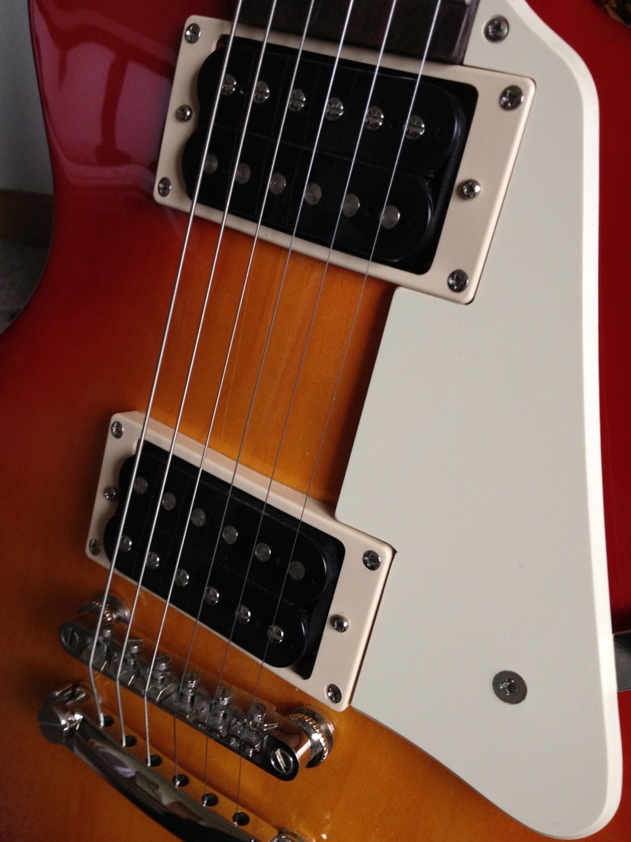 Music Gear Setup by evanjames featuring Epiphone Les Paul 100