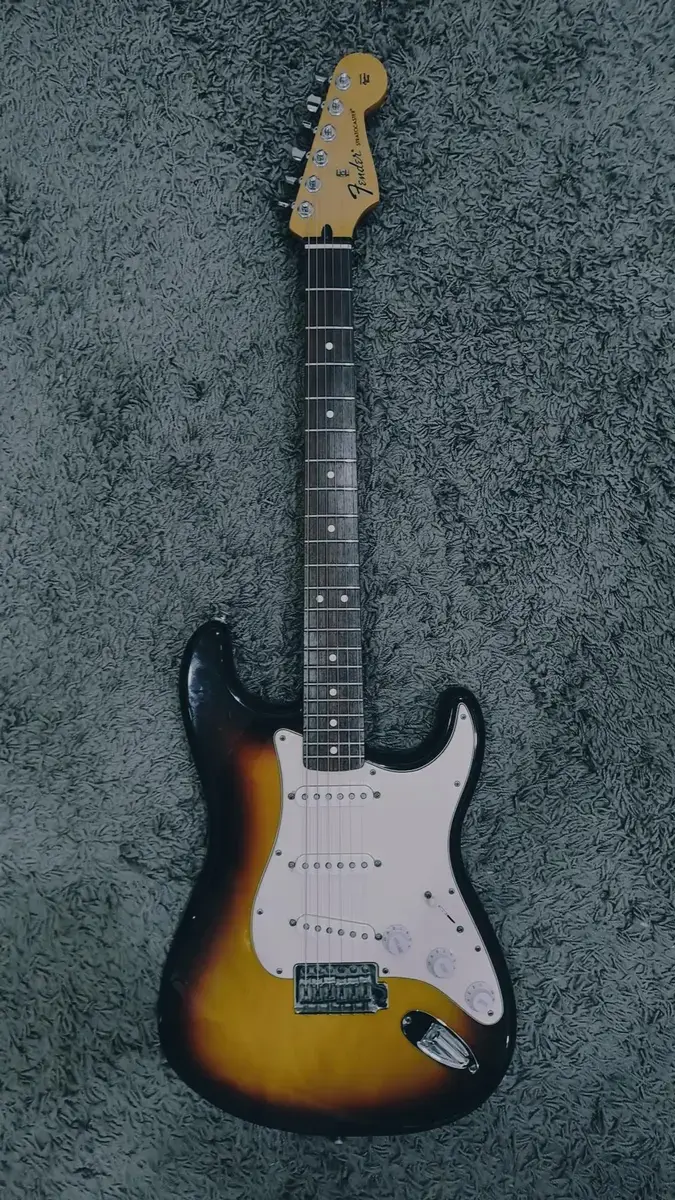 Music Gear Setup by wmizmin featuring Fender Stratocaster MIM