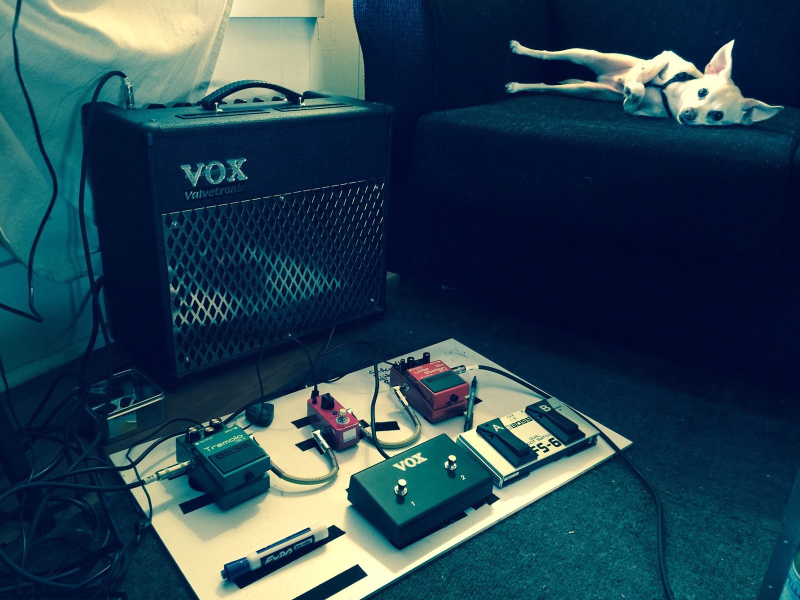 tamaloy's music gear photo