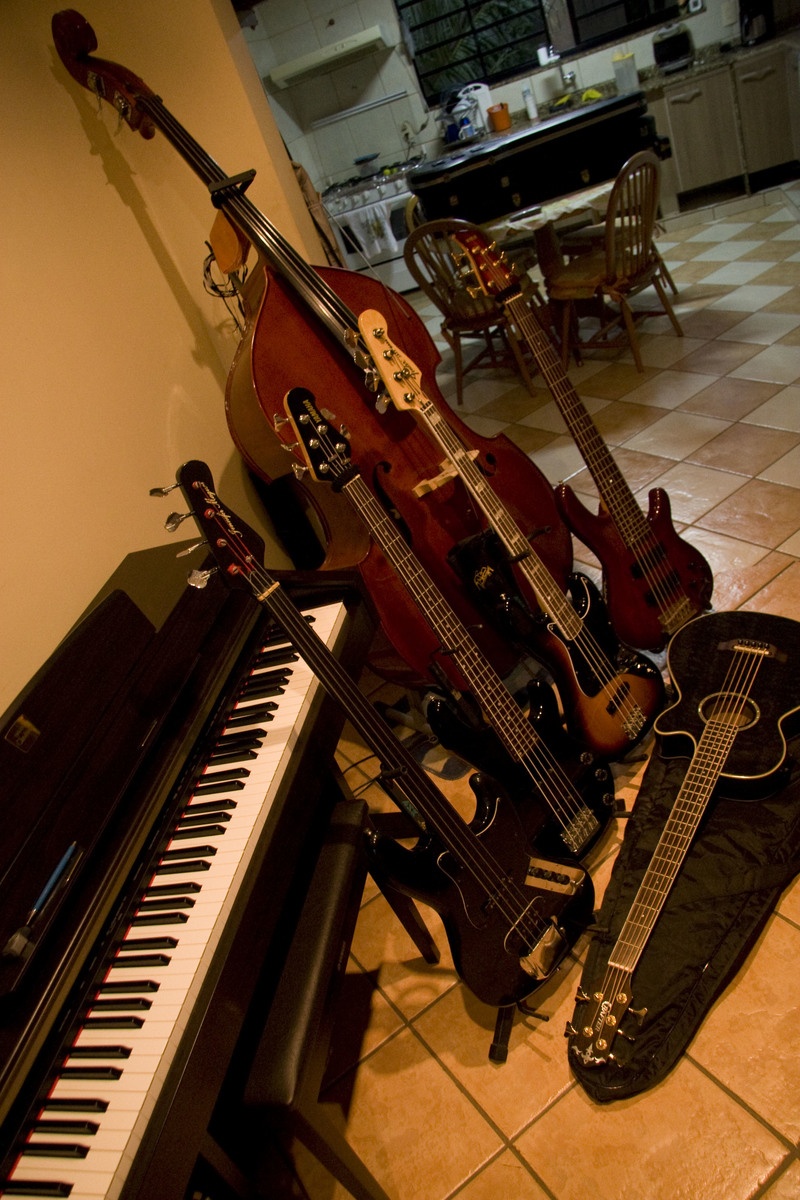 wellisantos's music gear photo