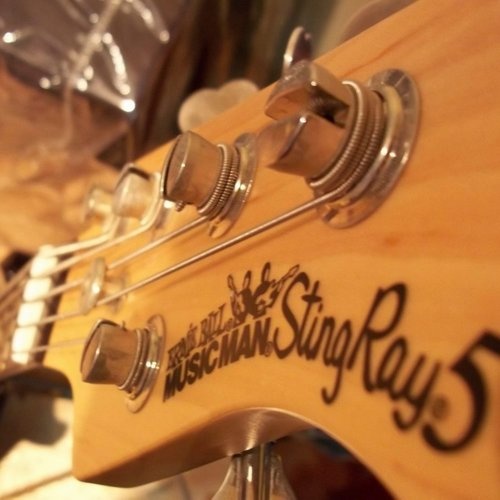 wellisantos's gear photo