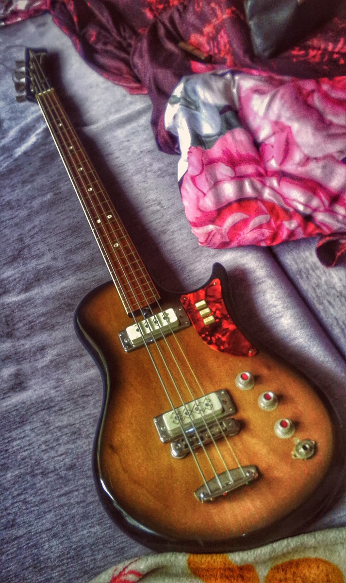 eve_ripper's music gear photo