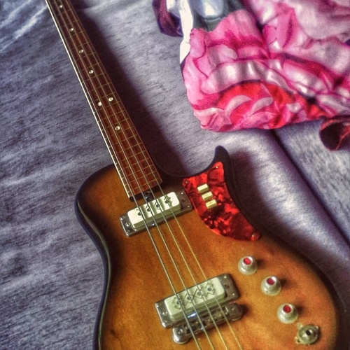 eve_ripper's gear photo