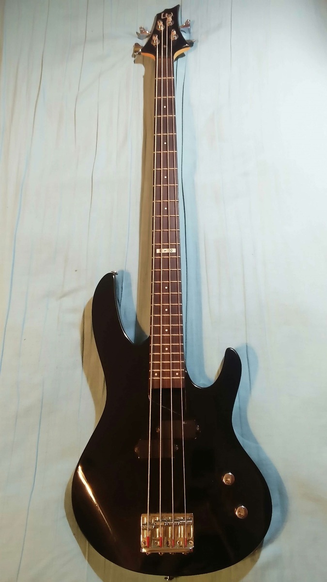 Music Gear Setup by snowshovelmusic featuring LTD B10 Bass