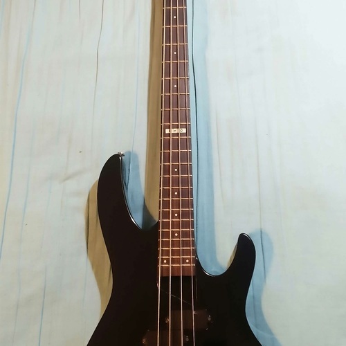 Photo of LTD B10 Bass in a bass