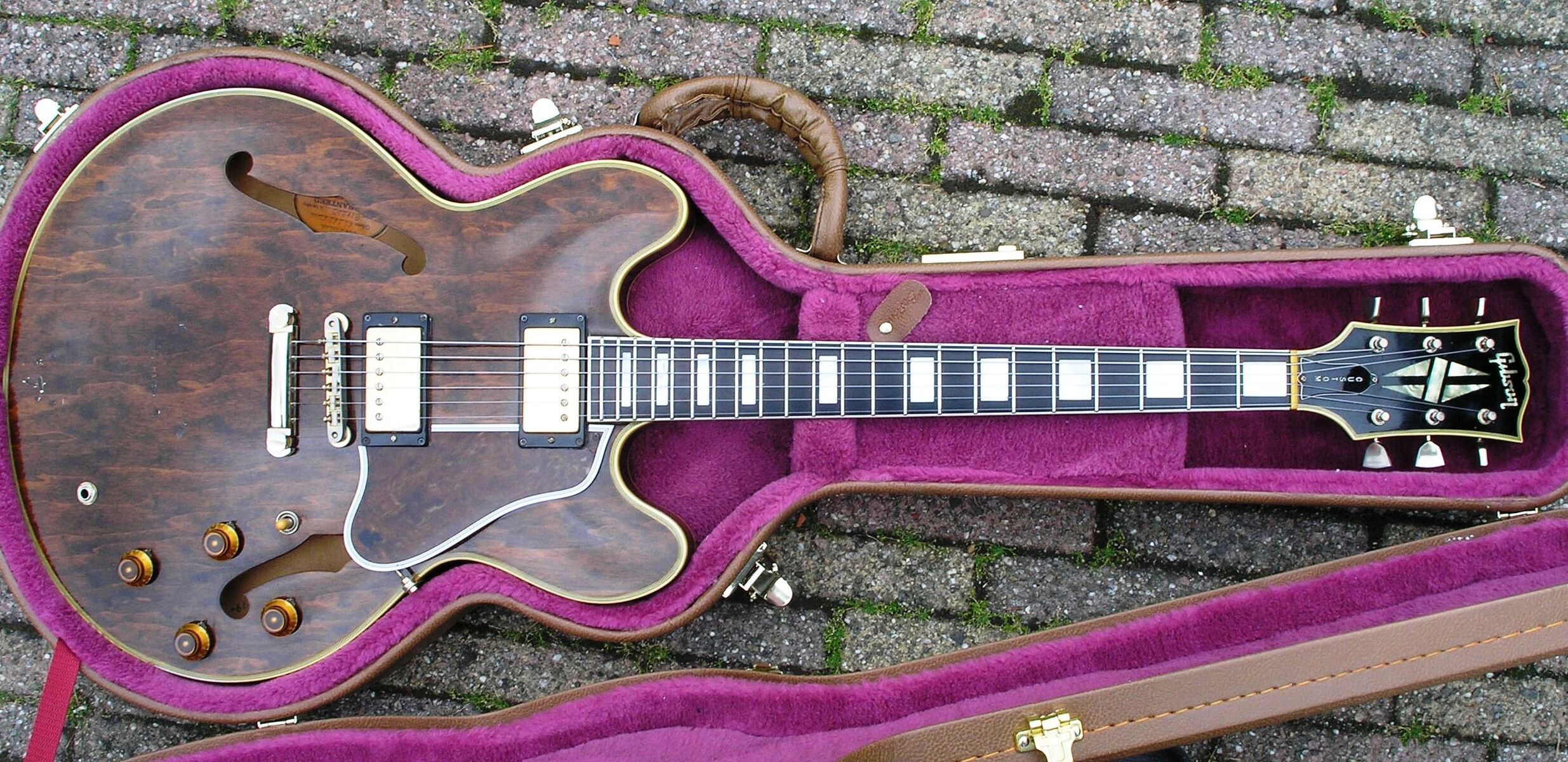 gitaar335's music gear photo