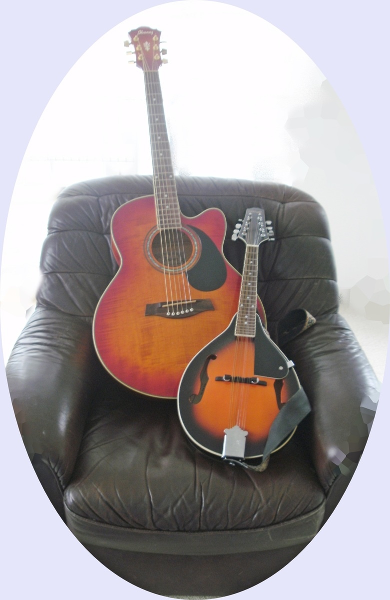 terrytekguitars's music gear photo