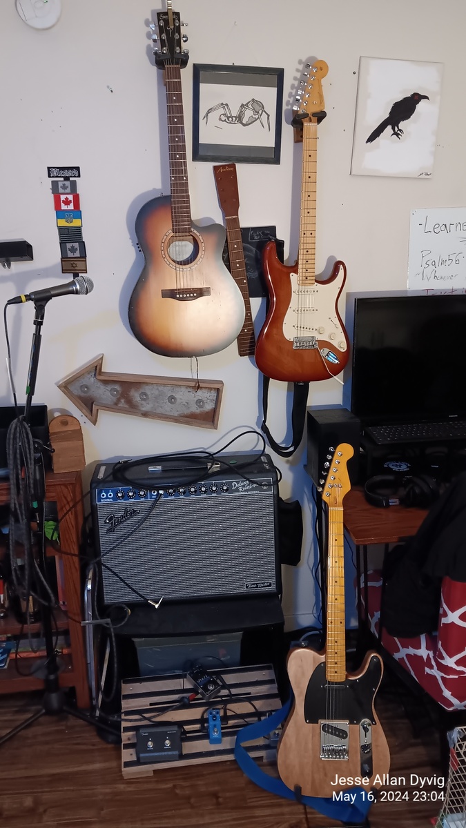 jesse_a_dyvig's music gear photo