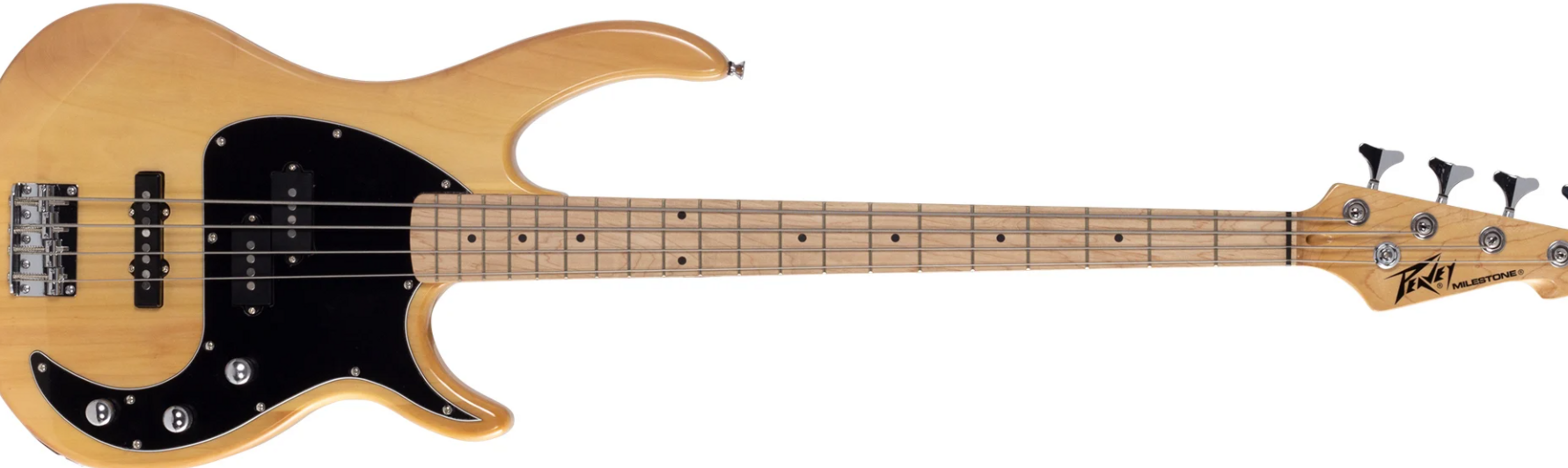 Music Gear Setup by adam_ries featuring Peavey Milestone II