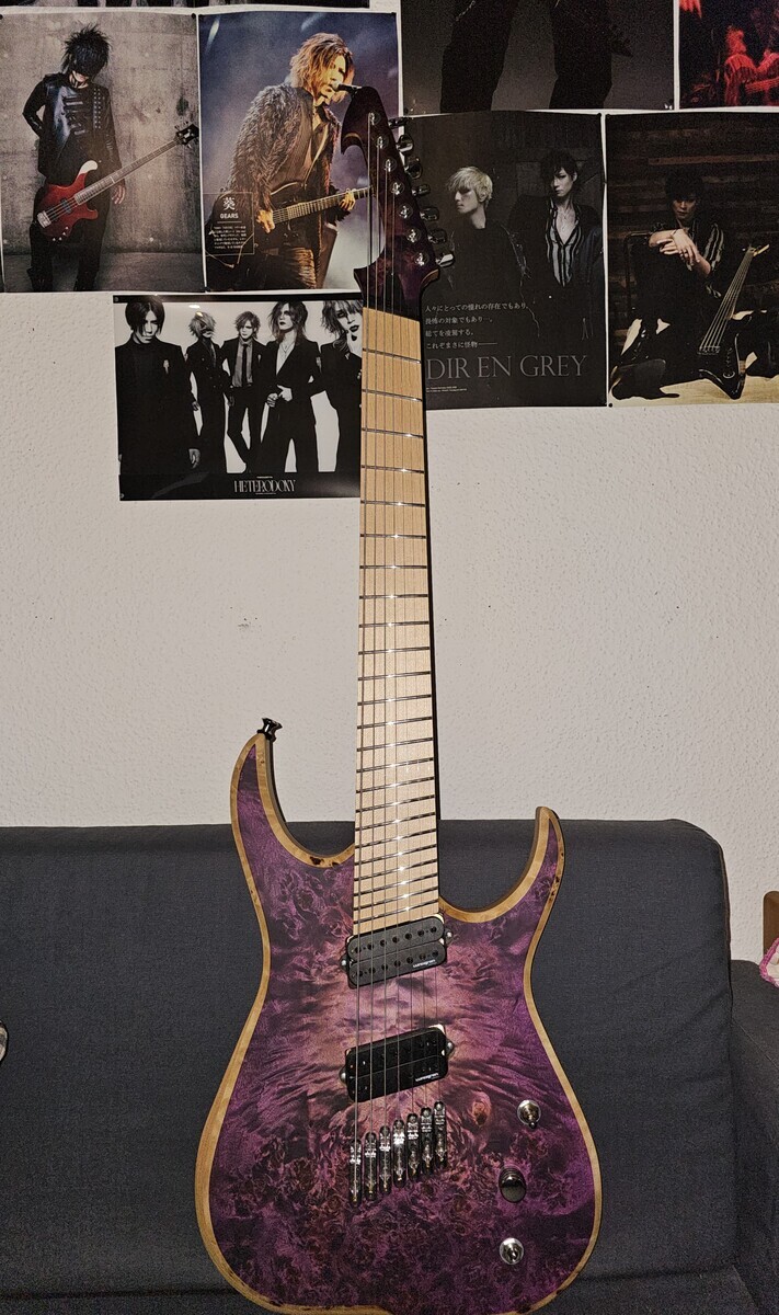Music Gear Setup by gregor_sp featuring Skervesen Raptor 7