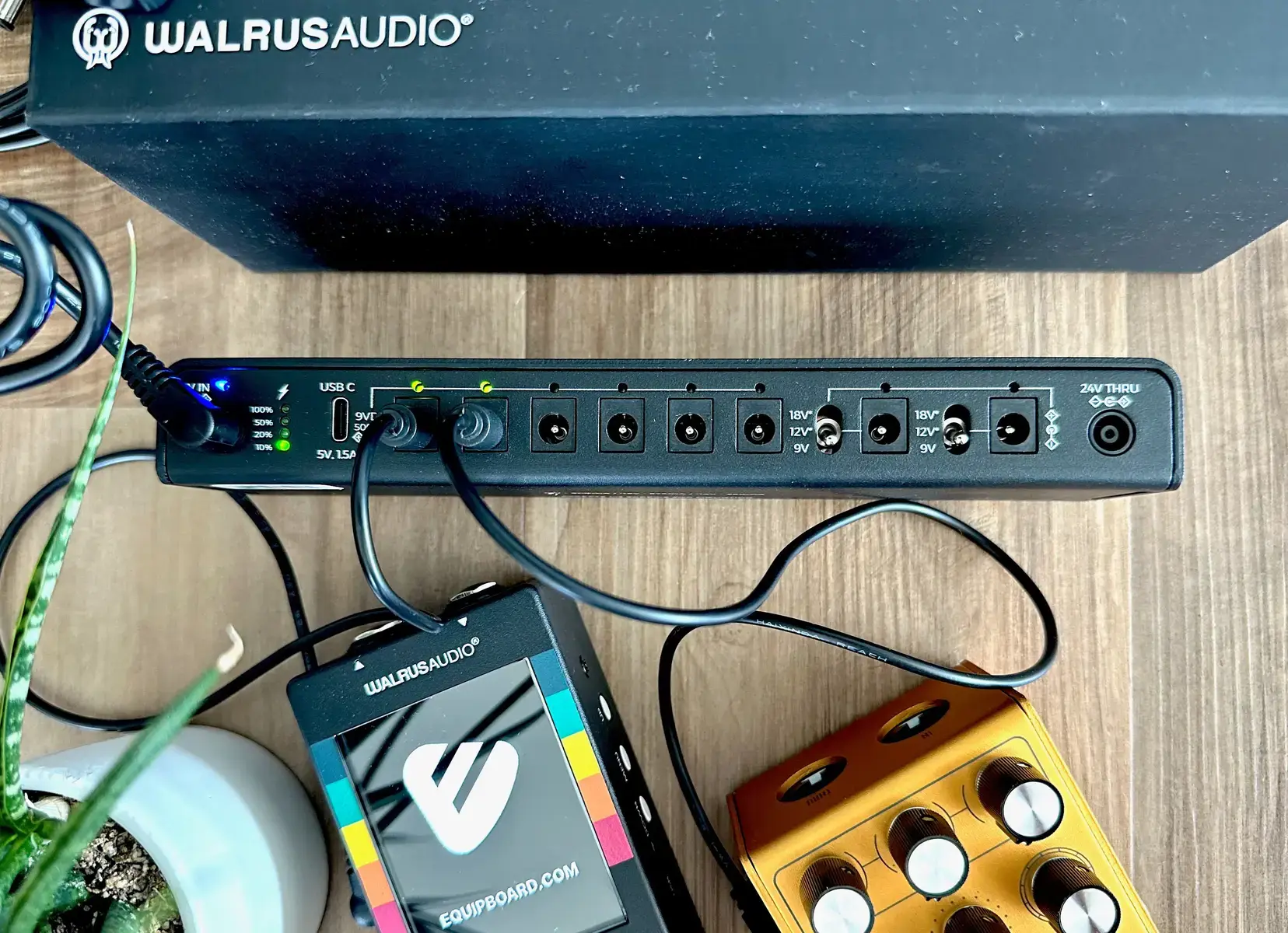 Punk Pedalboard by equipboard featuring Walrus Audio Canvas 8 Pedal Power Supply and Walrus Audio Canvas Tuner Pedal