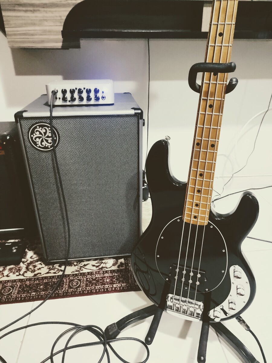 Darkglass Electronics Amp Rig by vitormansur featuring Darkglass Electronics Microtubes 500, Darkglass Electronics DG210N 2x10 Bass Cabinet, and Music Man Stingray