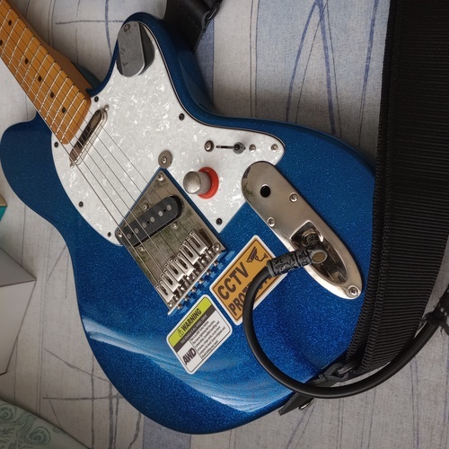 Photo of Ibanez Talman TM302PM in a guitar