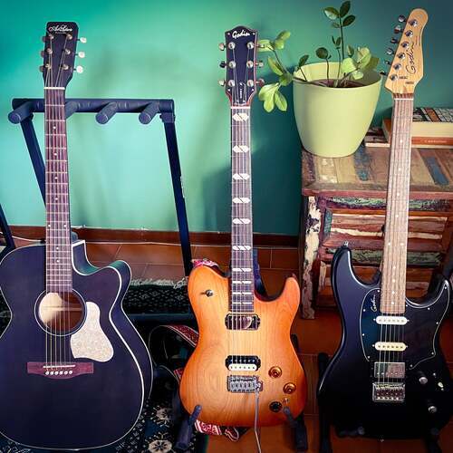 Photo of Godin Session HT and more gear in a guitar