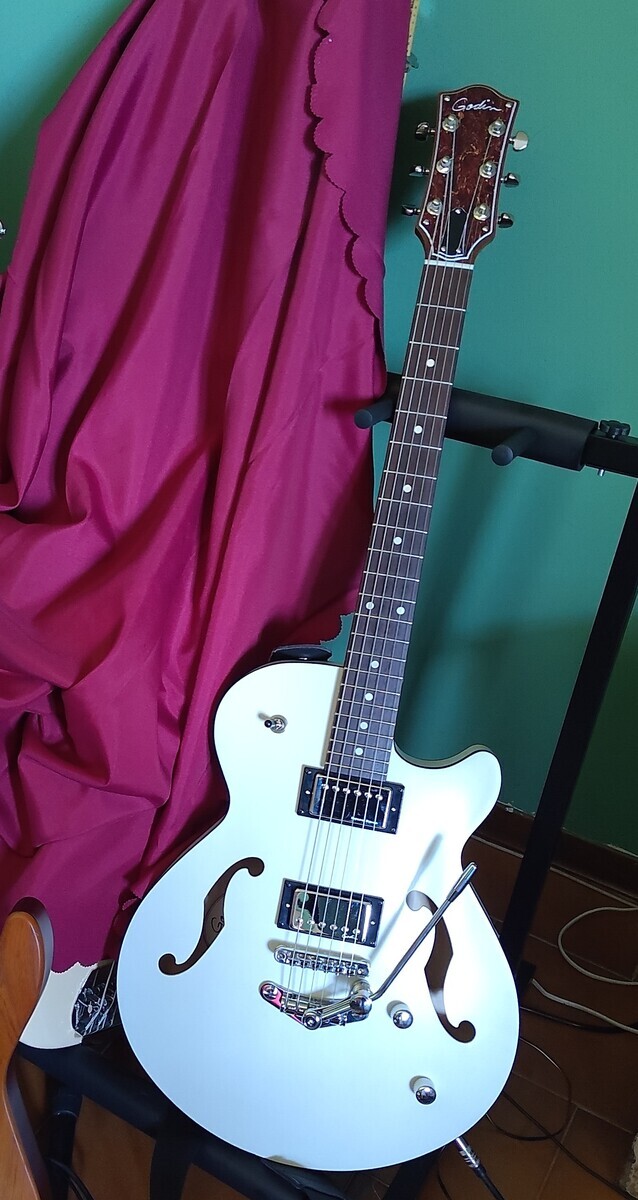 Music Gear Setup by alessandroalia featuring Godin Montreal Premiere