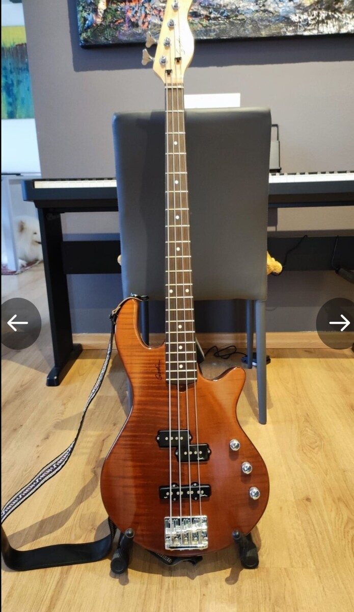 Music Gear Setup by alessandroalia featuring Godin Freeway 4