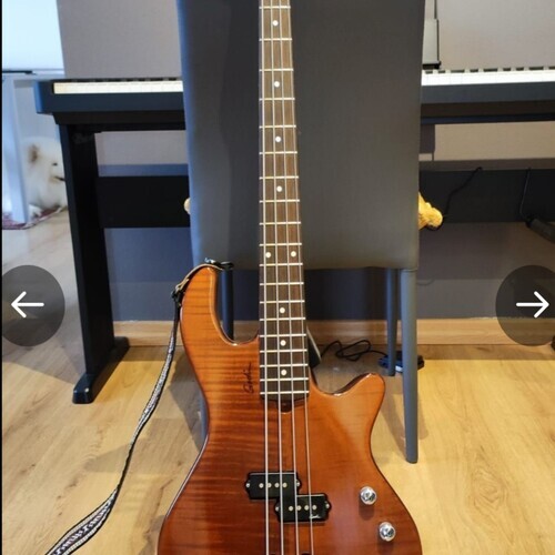 Photo of Godin Freeway 4 in a bass