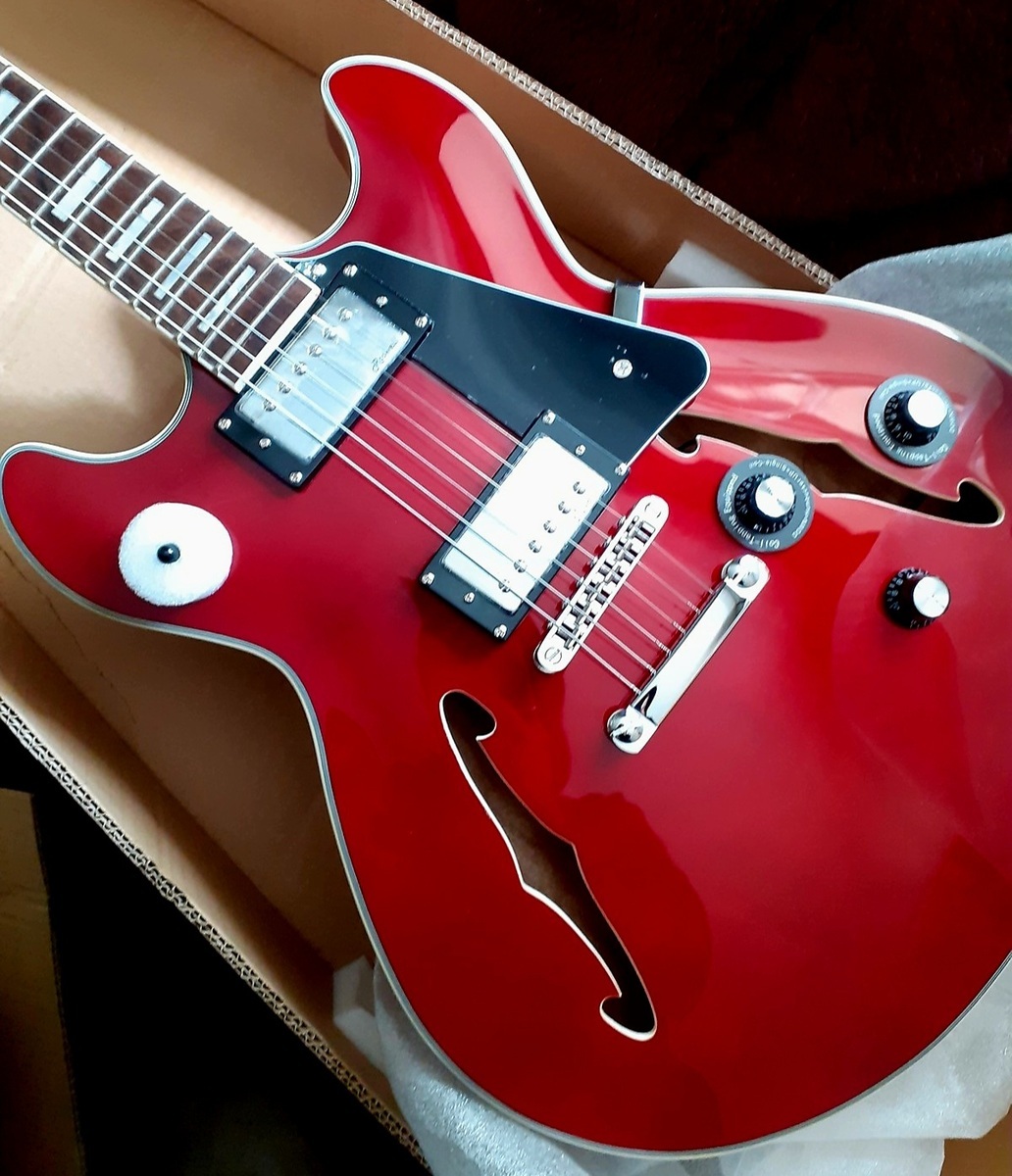 Music Gear Setup by ontheshouldersofgiants featuring Harley Benton HB-35Plus