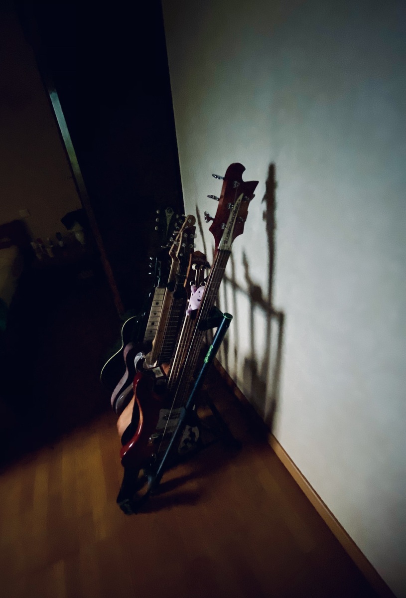 Music Gear Setup by eric_rodolphe_christophe_baldini featuring Rickenbacker 4003S 5-String