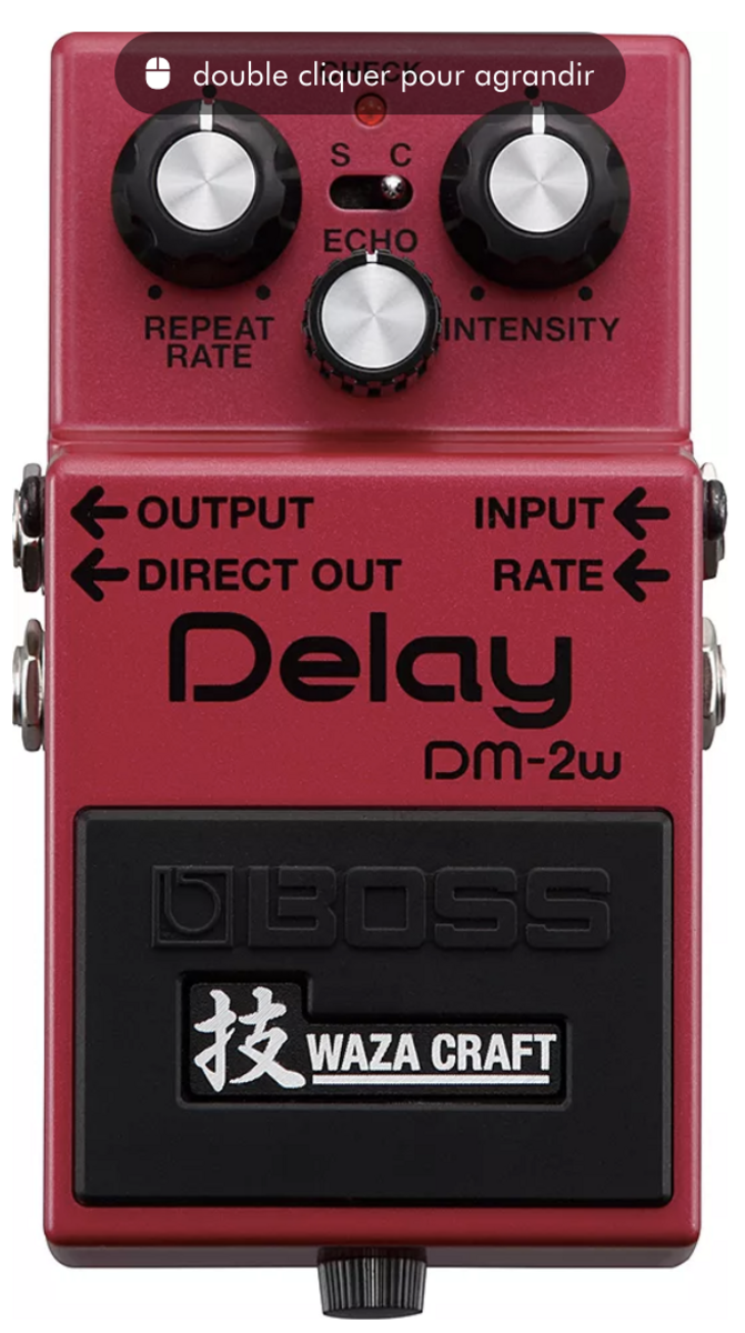 Pedalboard by the_dude_56220 featuring Boss DM-2W Delay Waza Craft