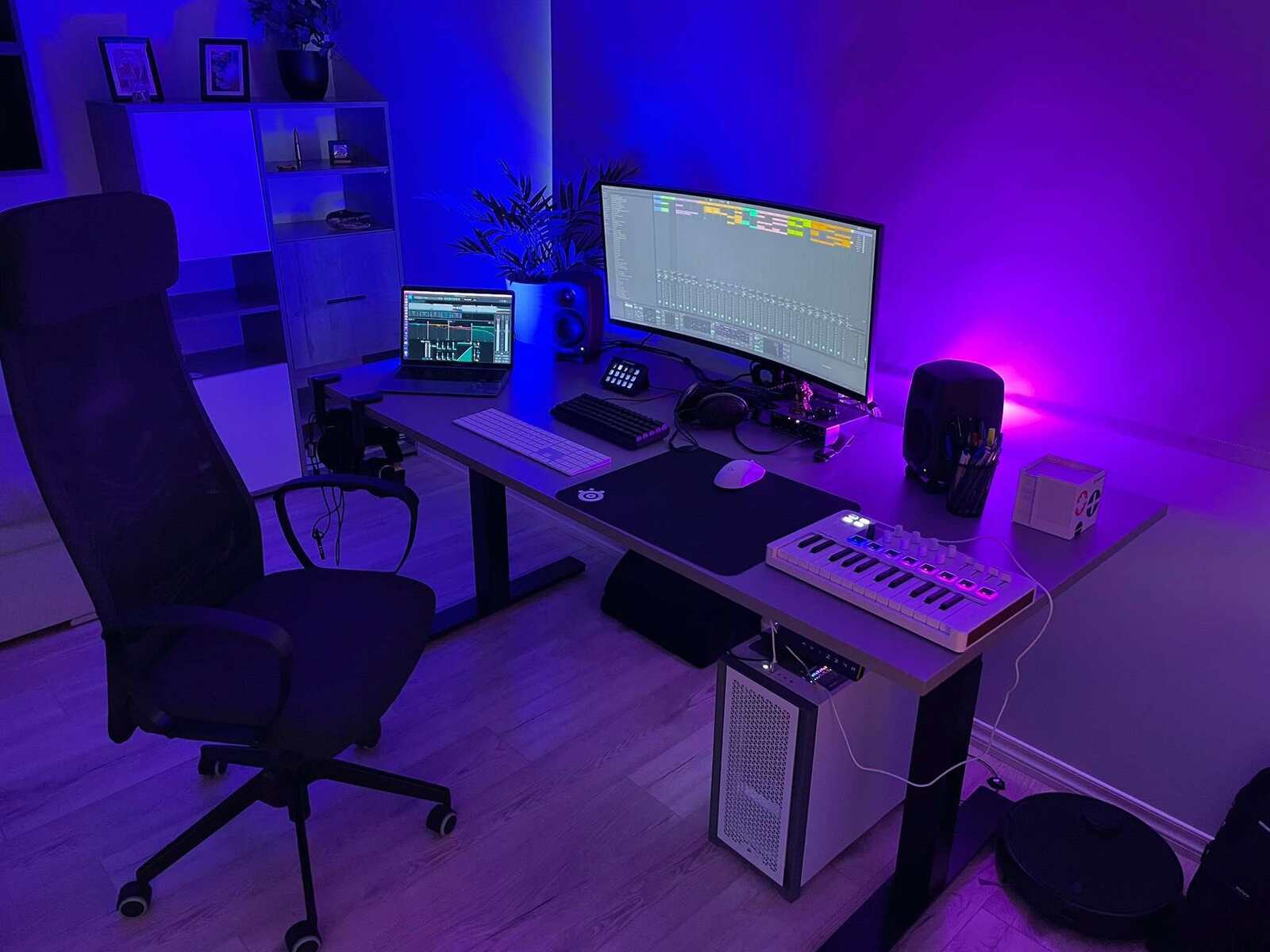 nedvio's music gear photo