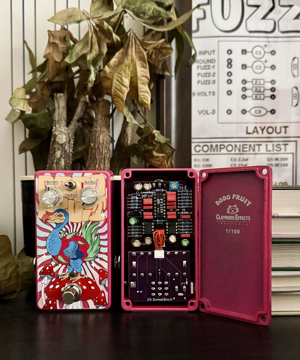 karamazov's music gear photo