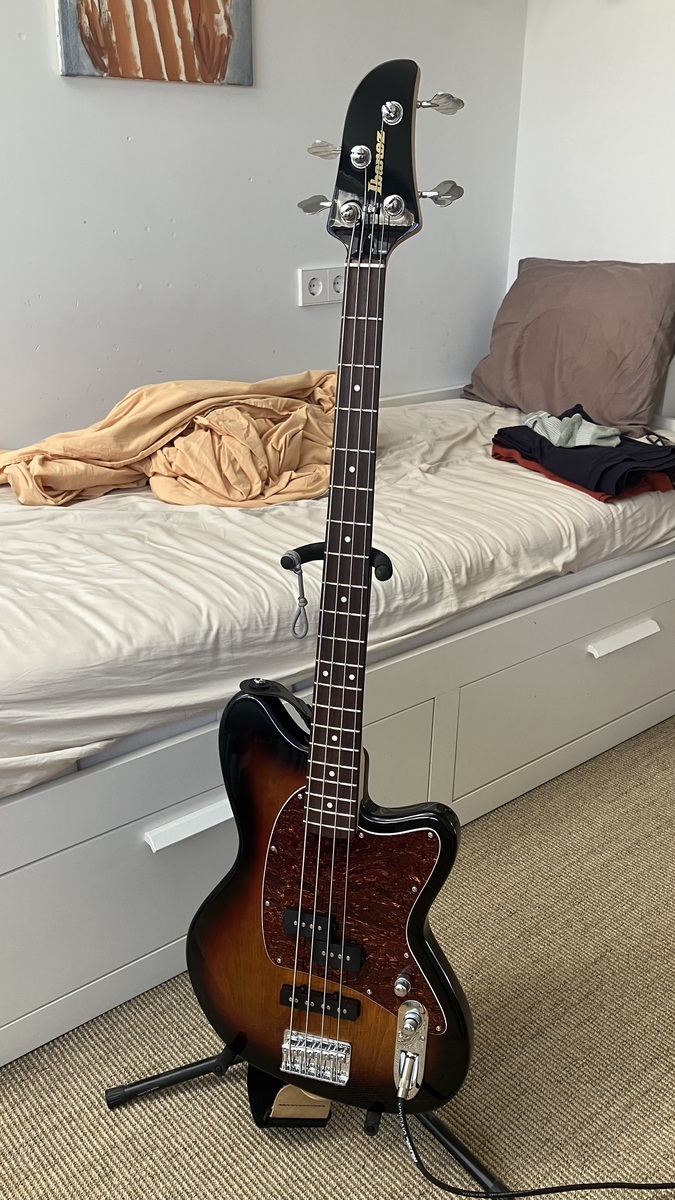 Music Gear Setup by andreymladenov featuring Ibanez TMB100 Talman Bass