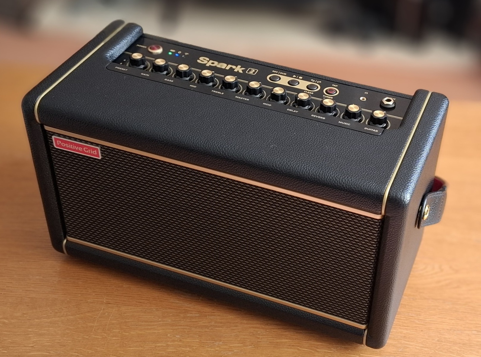 Amp Rig by lloydys featuring Positive Grid Spark 2
