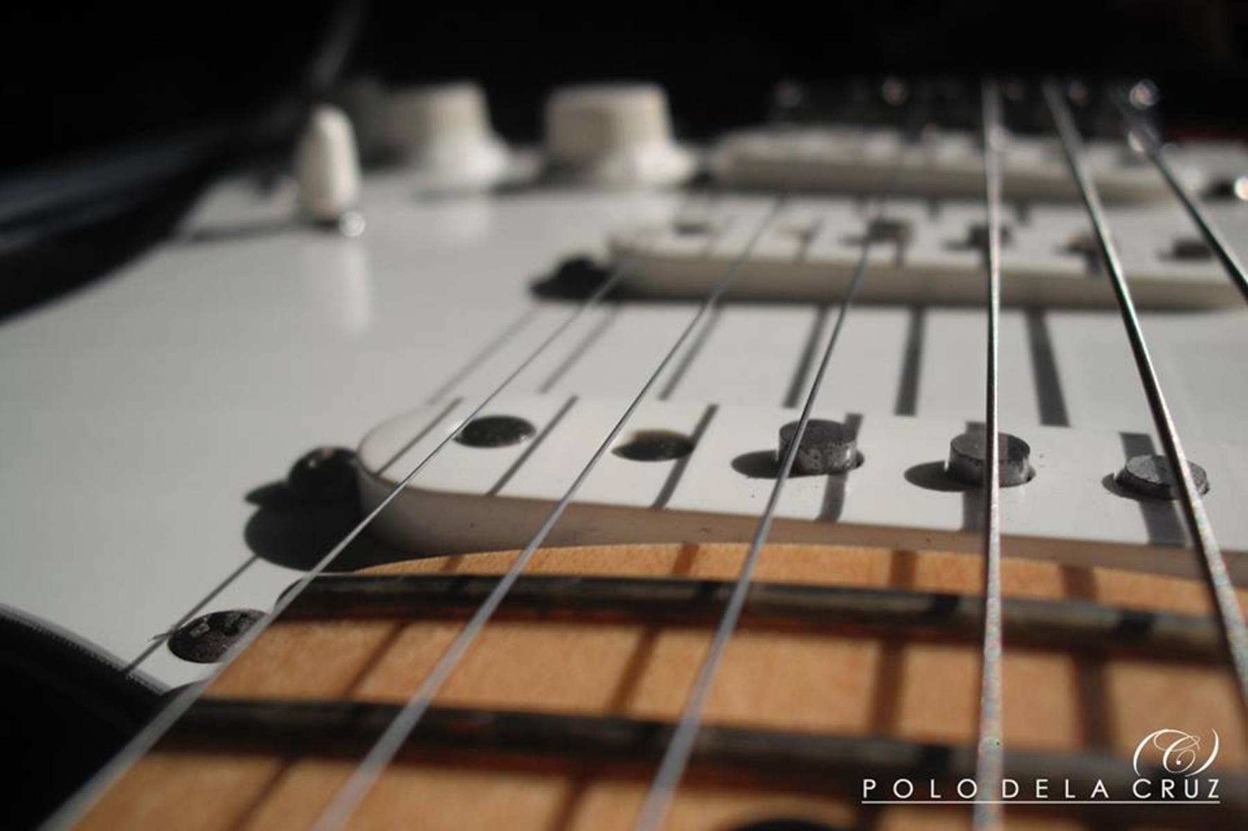 polomigueldc's music gear photo