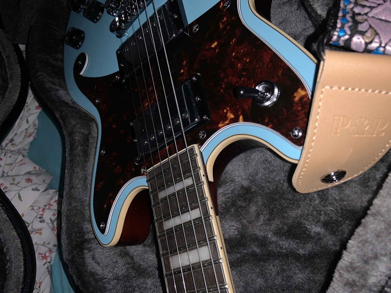 Music Gear Setup by romandaniukh featuring D'Angelico Premier Brighton