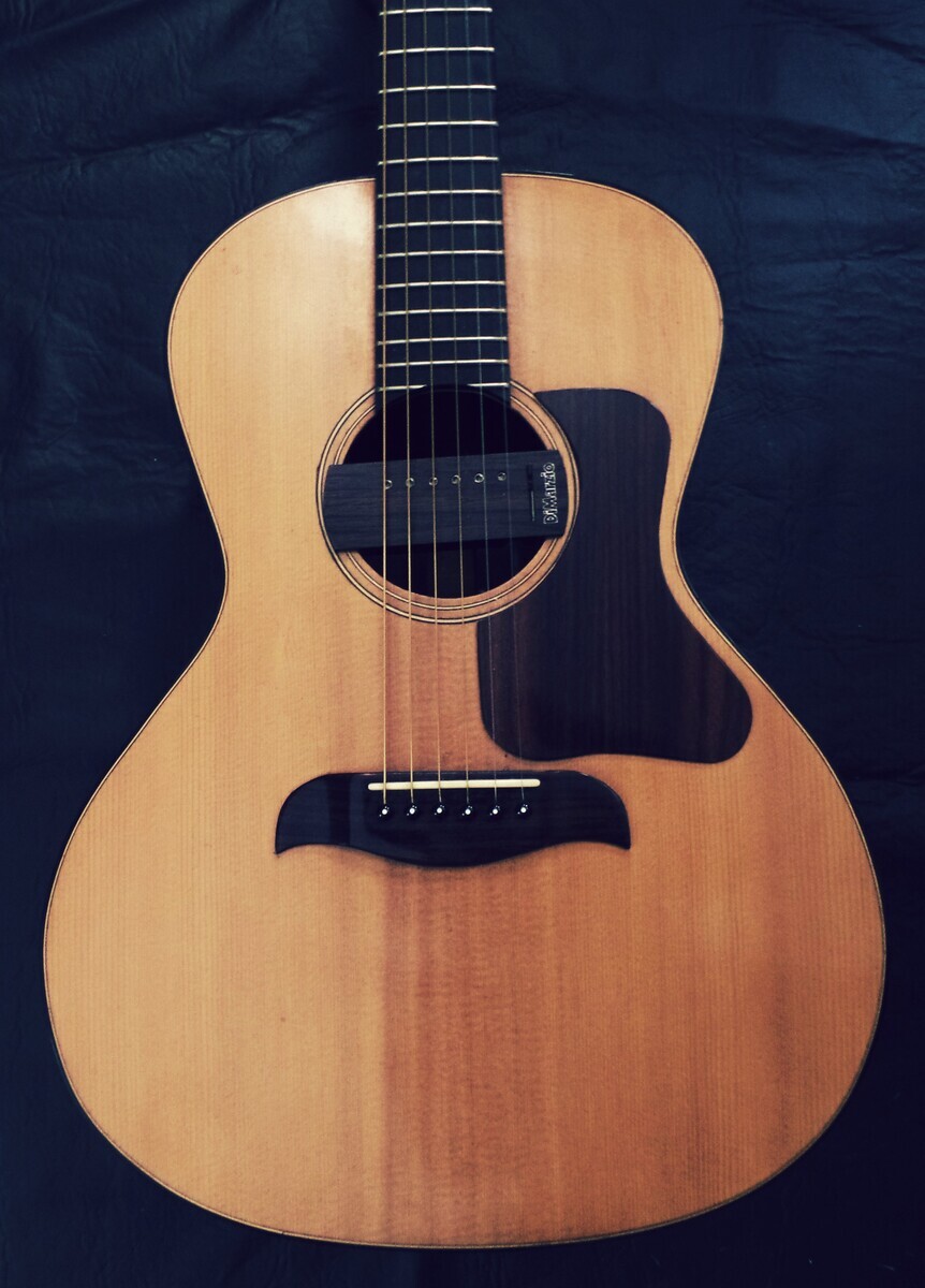 nereo_paulus's music gear photo