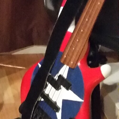 Photo of Ibanez SR480 and more gear in a guitar and bass