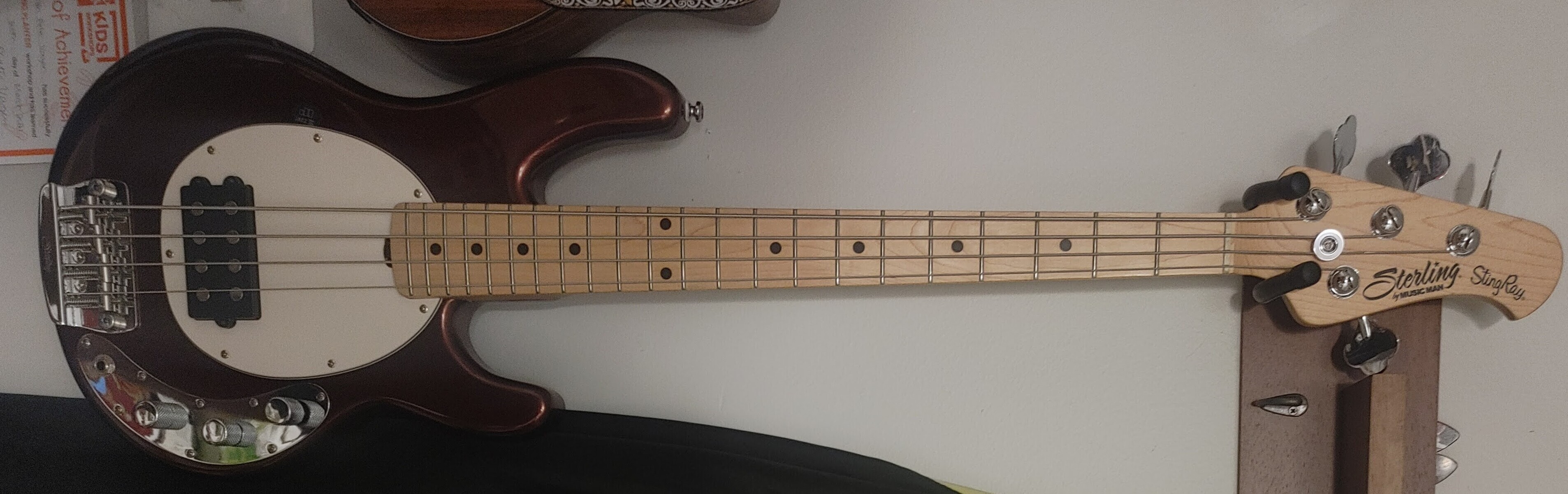 Sterling by Music Man Bass Rig by vagen featuring Sterling by Music Man StingRay Short-Scale and Ernie Ball Short Scale Regular Slinky Bass Strings (45-105)
