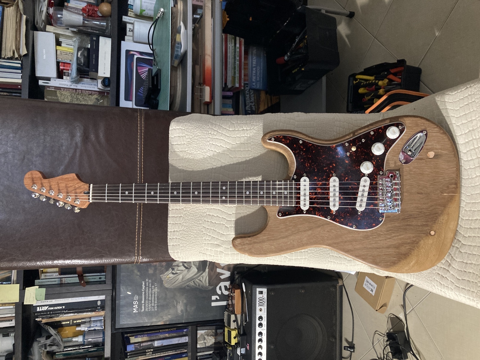 Music Gear Setup by alecani featuring Fender Stratocaster Electric Guitar and Fender Roc Pro 1000