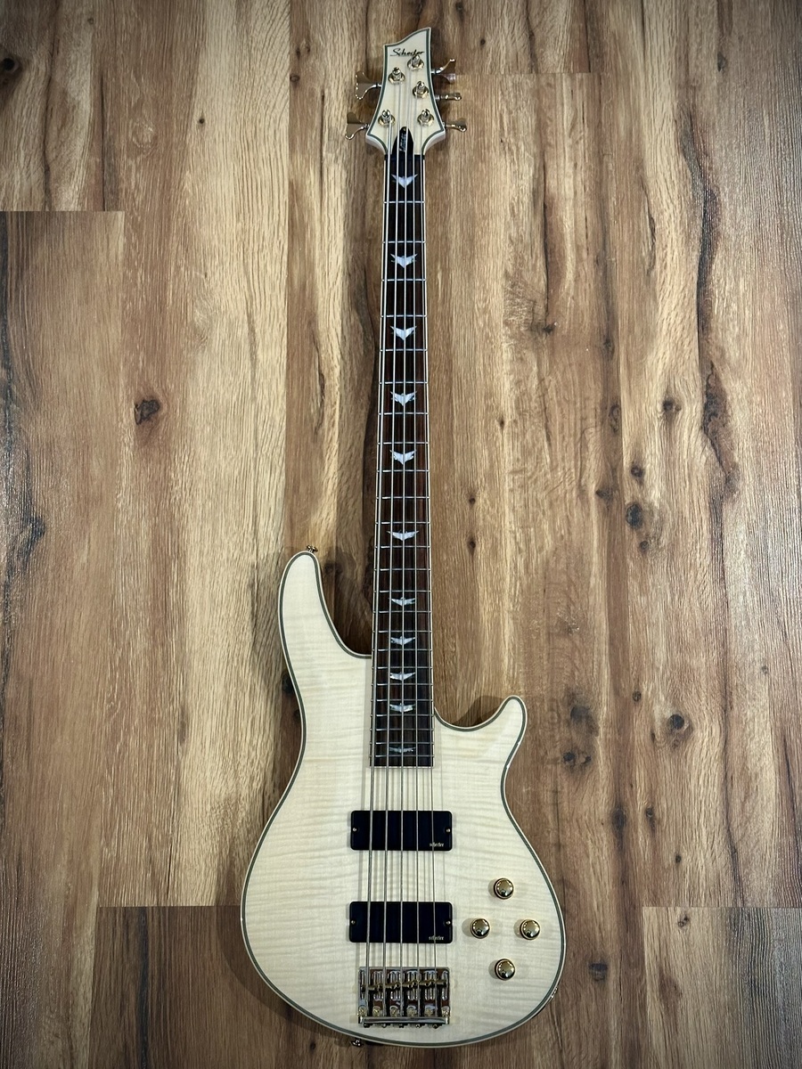 Schecter Bass Rig by davidjtessier featuring Schecter Guitar Research Omen Extreme 5 and Ernie Ball Super Long Scale Slinky 5-String Bass Strings (45-130)