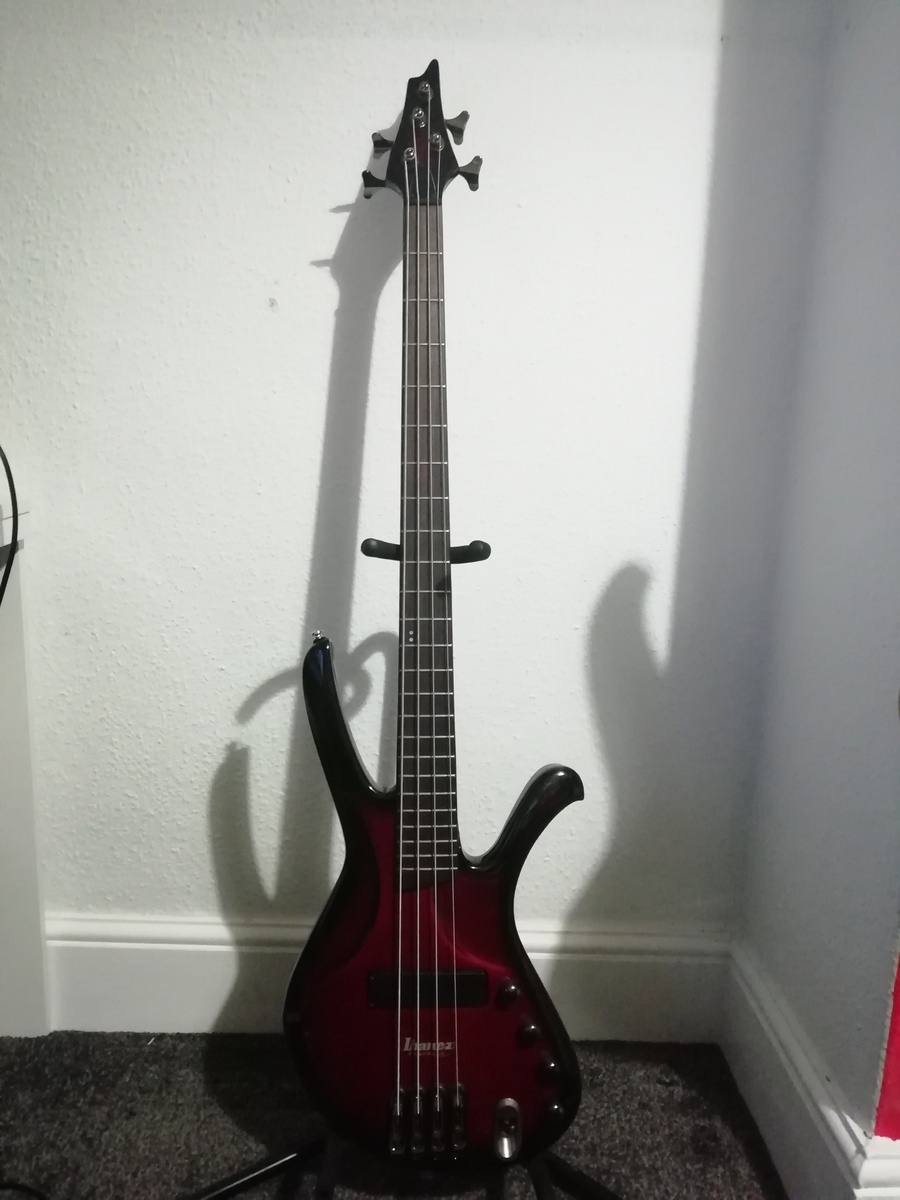 Music Gear Setup by willgullis featuring Ibanez Ergodyne EDA900