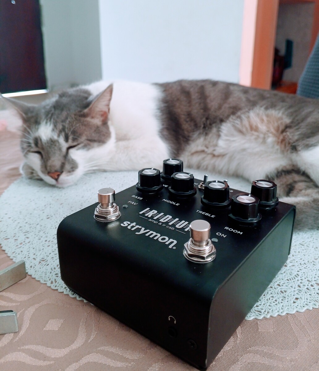 Country Pedalboard by dogpool featuring Strymon Iridium Amp & IR Cab