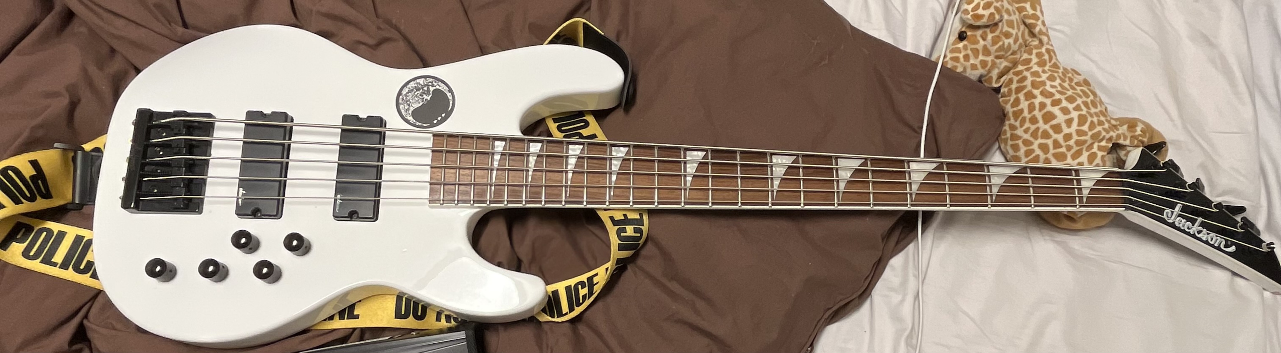 axel_otto's music gear photo