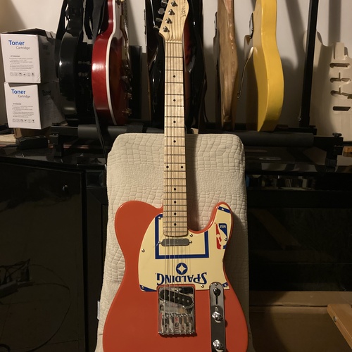 alecani's gear photo