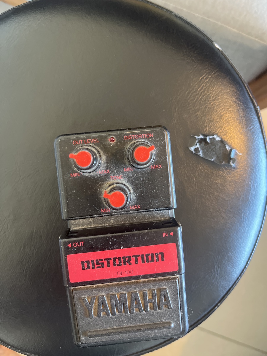 amyravrahamy's music gear photo