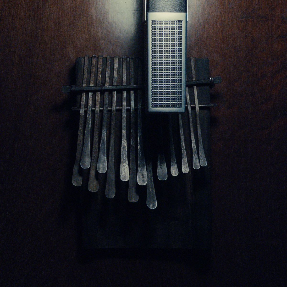 Country Studio Setup by renierra featuring Sennheiser MD 441-U and Mbira