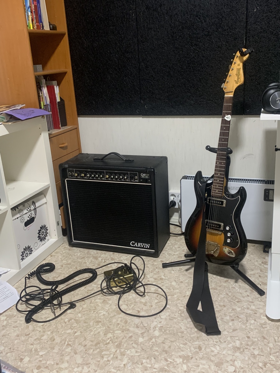 Punk Pedalboard by waltteri featuring Hagstrom II, Fender Pugilist Distortion, and Carvin SX100 and 2 more pieces of gear