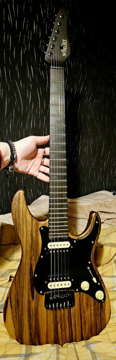 Music Gear Setup by ontheshouldersofgiants featuring Schecter Sun Valley Super Shredder Exotic HH Hardtail