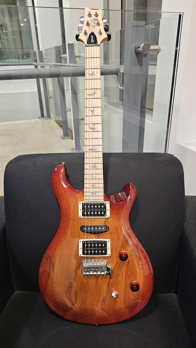 Music Gear Setup by cdnaxeman88 featuring PRS SE Swamp Ash Special Electric Guitar